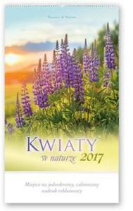 Kalendarz 2017 RW 22 Kwiaty w naturze - 2857798070