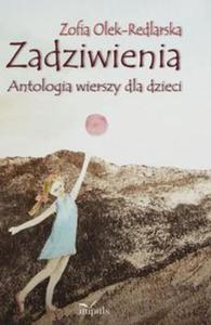 Zadziwienia - 2857798810