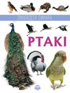 Zwierzta wiata Ptaki - 2857803044