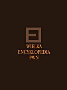 WIELKA ENC.PWN.T.28 - 2857804371