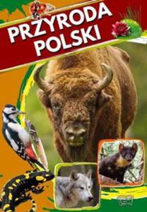 Przyroda Polski - 2857806887