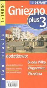 Gniezno plus 3 1:20 000 plan miasta - 2825666347