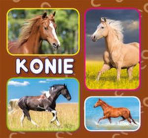 Konie - 2857811831