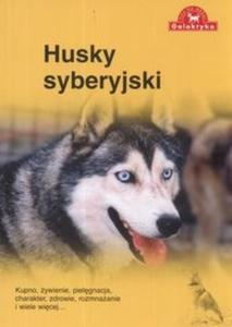 Husky syberyjski - 2825666630