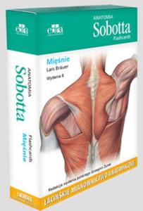 Anatomia Sobotta Flashcards Minie aciskie mianownictwo anatomiczne - 2857814563