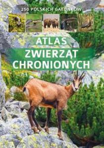 Atlas zwierzt chronionych w Polsce - 2857816318