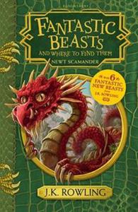 Fantastic Beasts and Where to Find Them - 2857817194