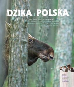 Dzika Polska - 2857820569