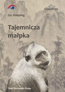 Tajemnicza mapka - 2857823277