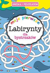 Kredk i pedzelkiem labirynty dla bystrzakw - 2857828918