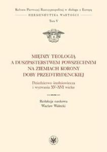 Midzy teologi a duszpasterstwem powszechnym na ziemiach Korony doby przedtrydenckiej - 2857829299