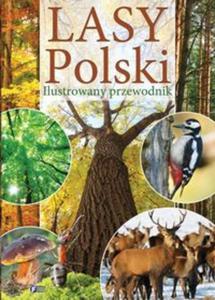 Lasy Polski - 2857832547