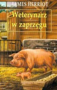 Weterynarz w zaprzgu - 2825667777