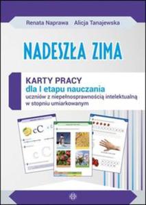 Nadesza zima Karty pracy sztywna teczka - 2857836438