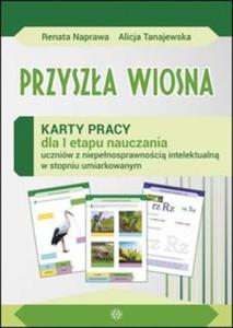 Przysza wiosna Karty pracy sztywna teczka - 2857836441