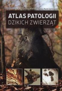 Atlas patologii dzikich zwierzt - 2857836451
