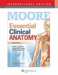 Essential Clinical Anatomy - 2857836774