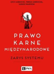 Prawo karne midzynarodowe - 2857837670