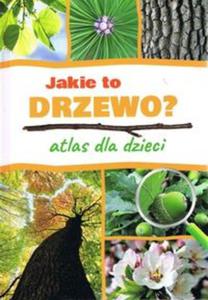 Jakie to drzewo? Atlas dla dzieci / SBM - 2857837848