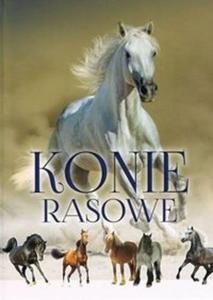 Konie rasowe / SBM