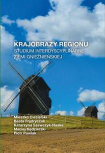 Krajobrazy regionu Studium interdyscyplinarne ziemi gnienieskiej - 2857838073