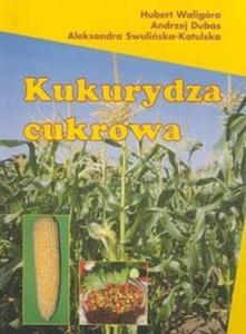 Kukurydza cukrowa - 2825668685