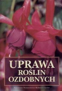 Uprawa rolin ozdobnych - 2825669178