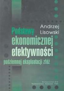 Podstawy ekonomicznej efektywnoci podziemnej eksploatacji z - 2825669548