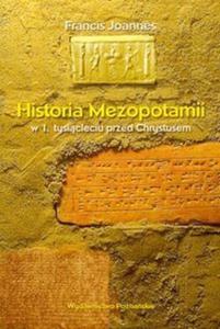 Historia Mezopotamii w I tysicleciu przed Chrystusem - 2825669919