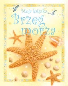 Brzeg morza - 2825670237