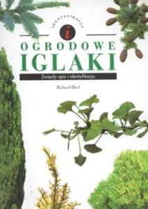 Ogrodowe iglaki - 2825670621