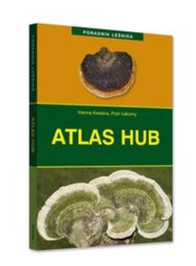 Atlas hub - 2825670711