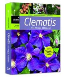 Clematis i inne pncza ogrodowe