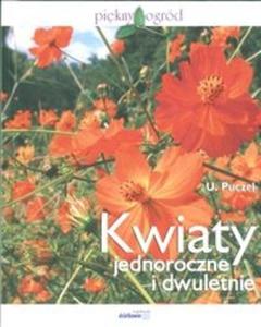 Kwiaty jednoroczne i dwuletnie - 2825671521