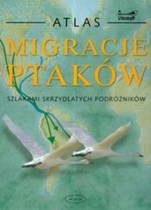 Migracje ptakw - 2825672195