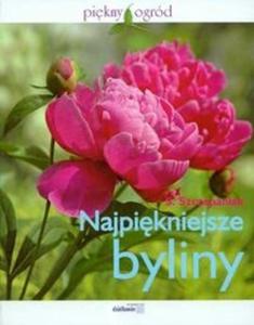 Najpikniejsze byliny - 2825673646