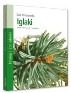 Iglaki - 2825673808