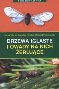 Drzewa iglaste i owady na nich erujce - 2825674437