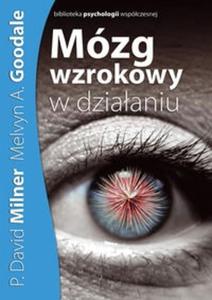 Mózg wzrokowy w dziaaniu