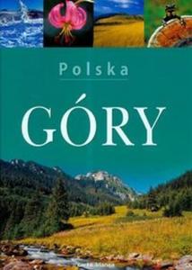 Polska Gry - 2825677262