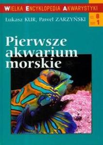 Pierwsze akwarium morskie 1 cz 8 - 2825677659