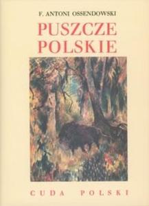 Puszcze polskie - 2825678938