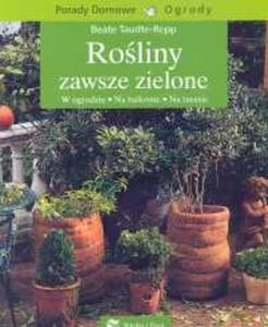 Roliny zawsze zielone - 2825679884