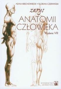 Zarys anatomii czowieka - 2825681335