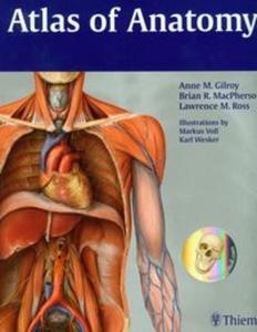 Atlas of Anatomy - 2825682424