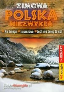 Polska Niezwyka zimowa - 2825684052