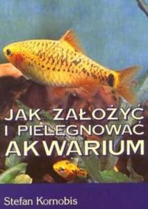 Jak zaoy i pielgnowa akwarium - 2825684449