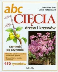 ABC cicia drzew i krzeww - 2825684490