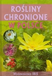 Roliny chronione w Polsce - 2825685449