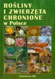 Roliny i zwierzta chronione w Polsce - 2825685457